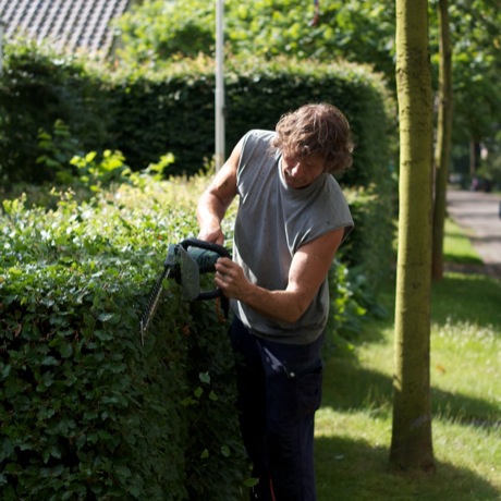 Hagen snoeien in wijk Berg en Bos, Apeldoorn